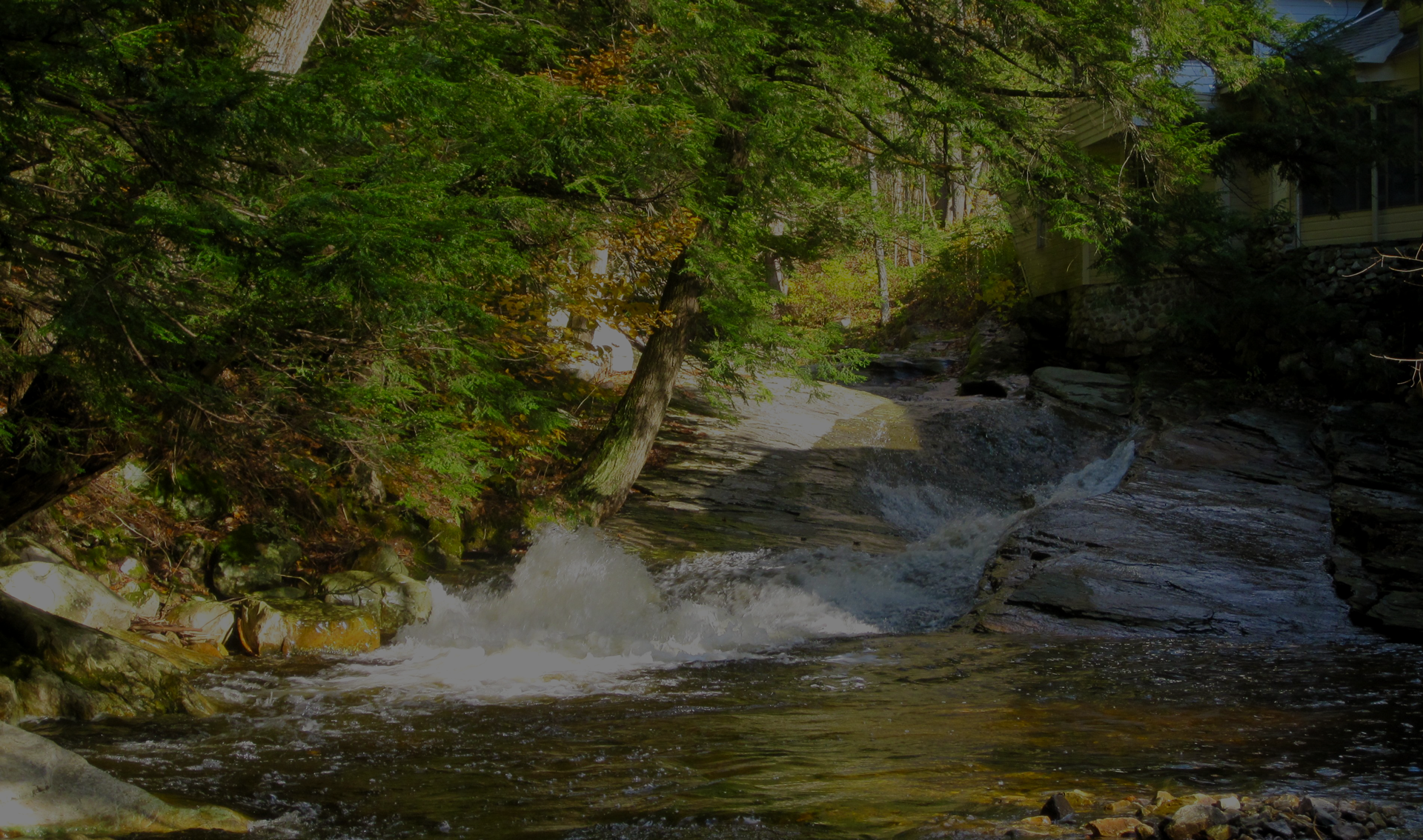 River and forest backdrop